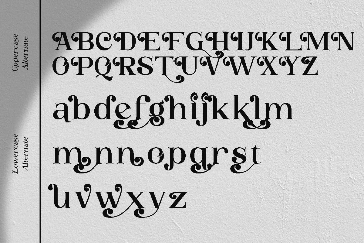 Buckbrush | Elegant Playful Serif (preview 4 of 6)