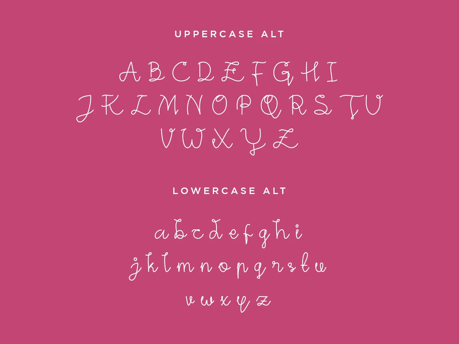 Steffani - Stylish Hadwritten Font (preview 5 of 5)