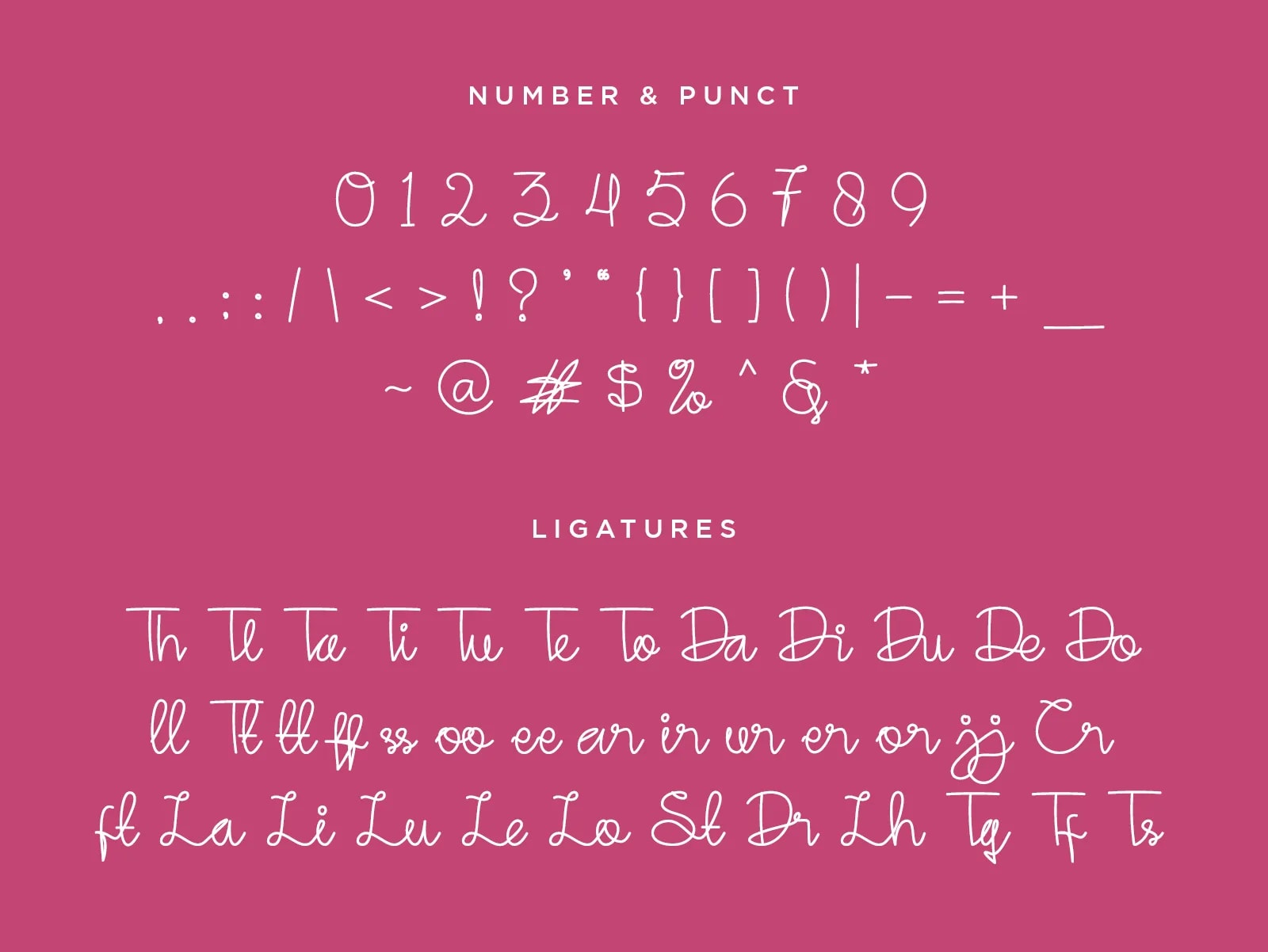 Steffani - Stylish Hadwritten Font (preview 4 of 5)