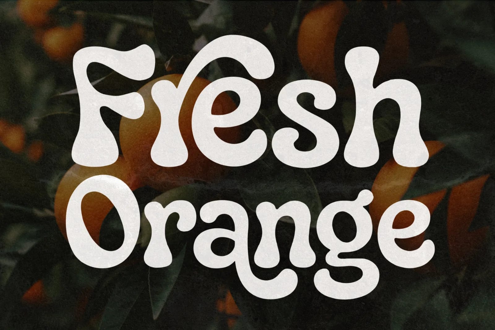 Paradisea – Elegant Vintage Serif Font (preview 6 of 6)