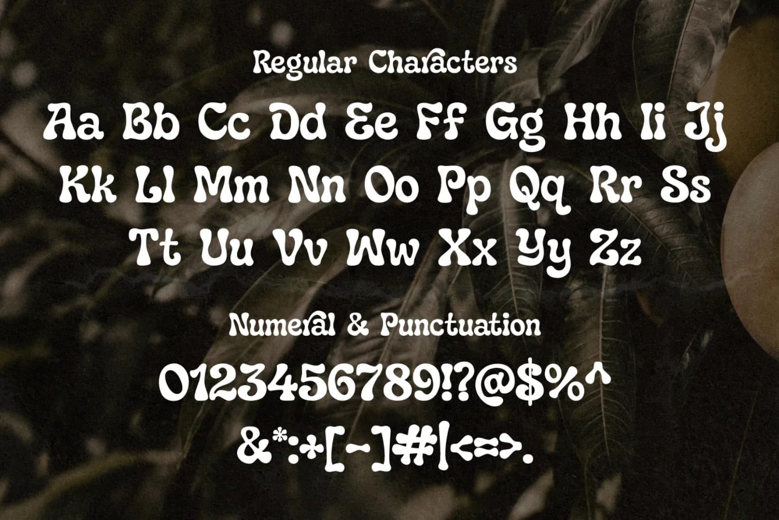 Paradisea – Elegant Vintage Serif Font (preview 2 of 6)