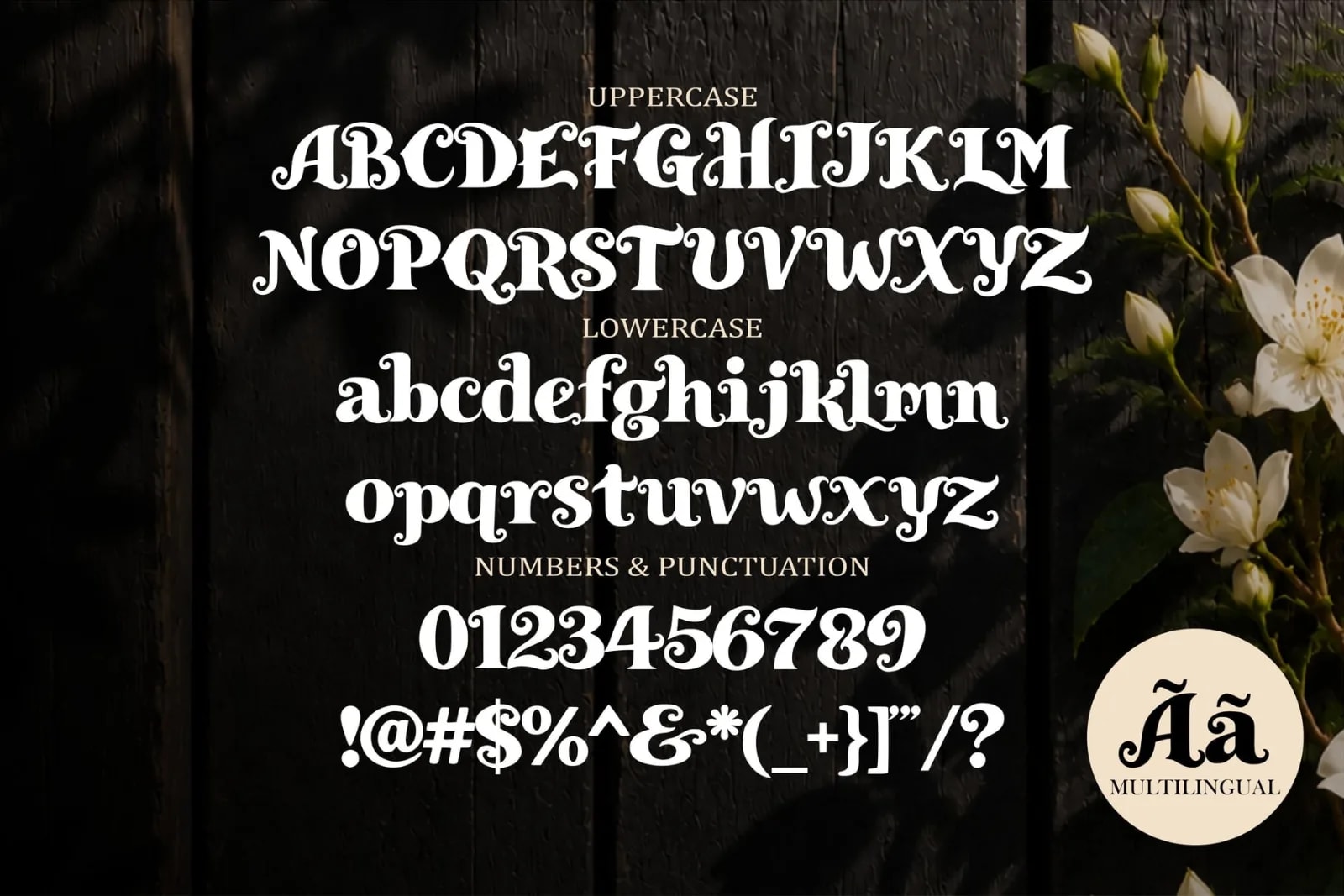 Royal Enigma – Classical Elegant Font (preview 2 of 6)