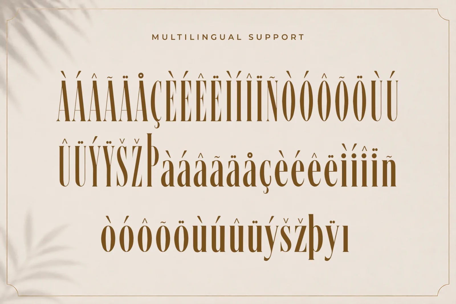 Vellaro – Modern Luxury Elegant Serif Font (preview 5 of 5)