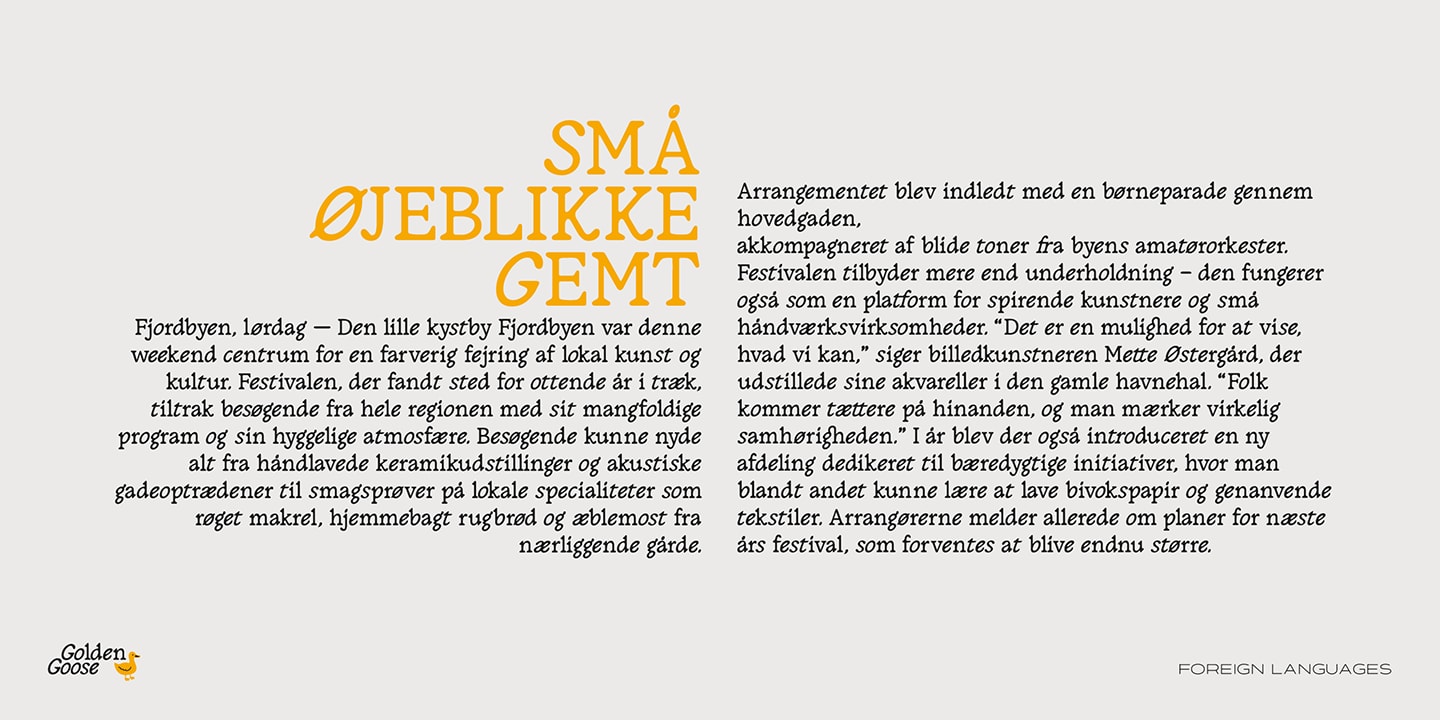 Golden Goose — Italic Infused Contemporary Serif Font (preview 3 of 4)