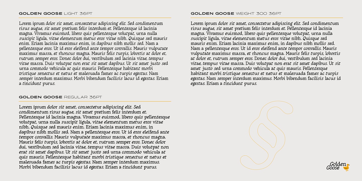 Golden Goose — Italic Infused Contemporary Serif Font (preview 4 of 4)