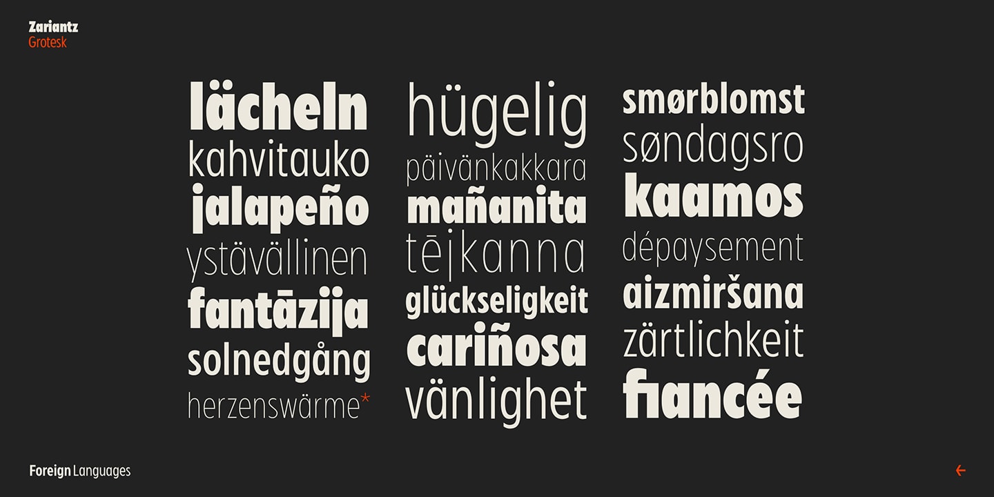 Zariantz Grotesk — Modern Humanist Sans Variable Font (preview 3 of 4)