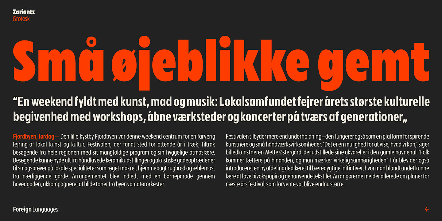 Zariantz Grotesk — Modern Humanist Sans Variable Font (preview 4 of 4)