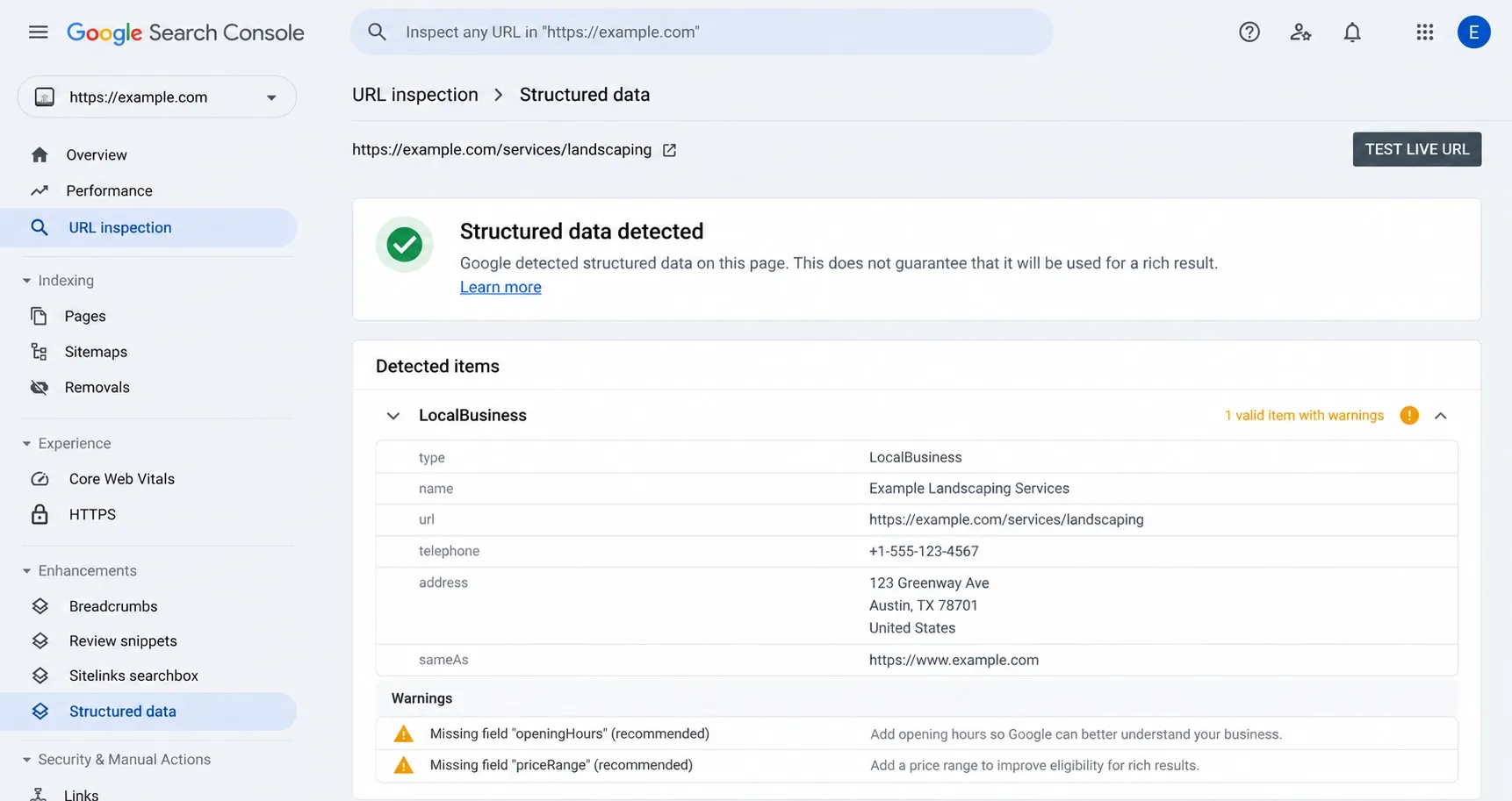 Rich Results Test showing detected LocalBusiness structured data