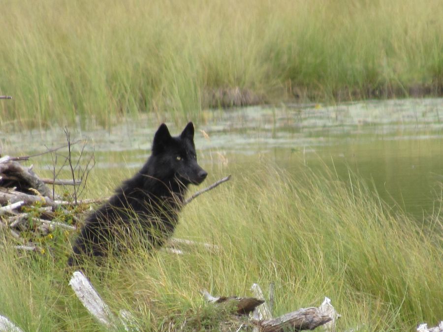 National Parks Conservation Association
