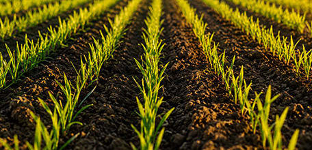 Agritech, Digital Farming & Smart Agriculture