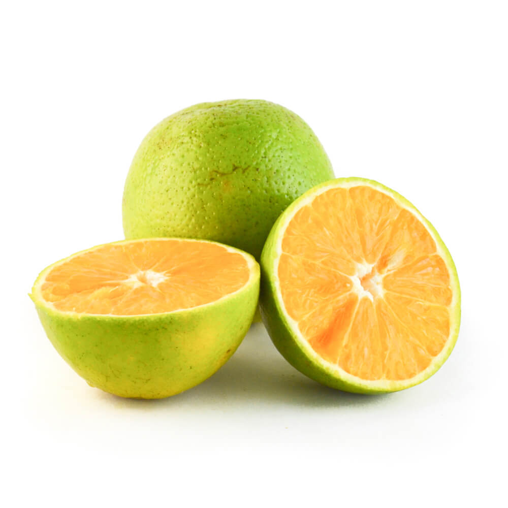 Naranja Valencia