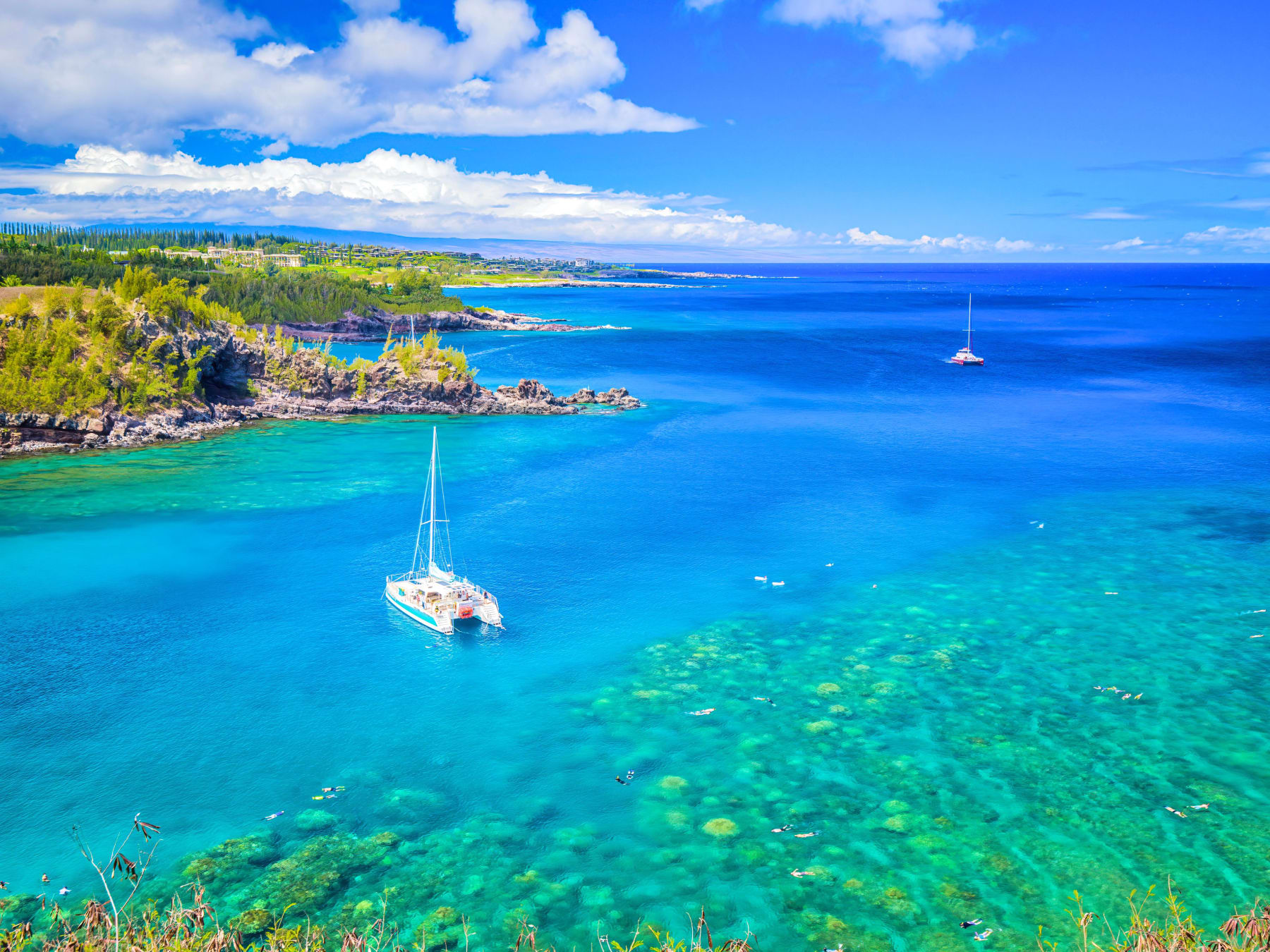 Honolua Bay