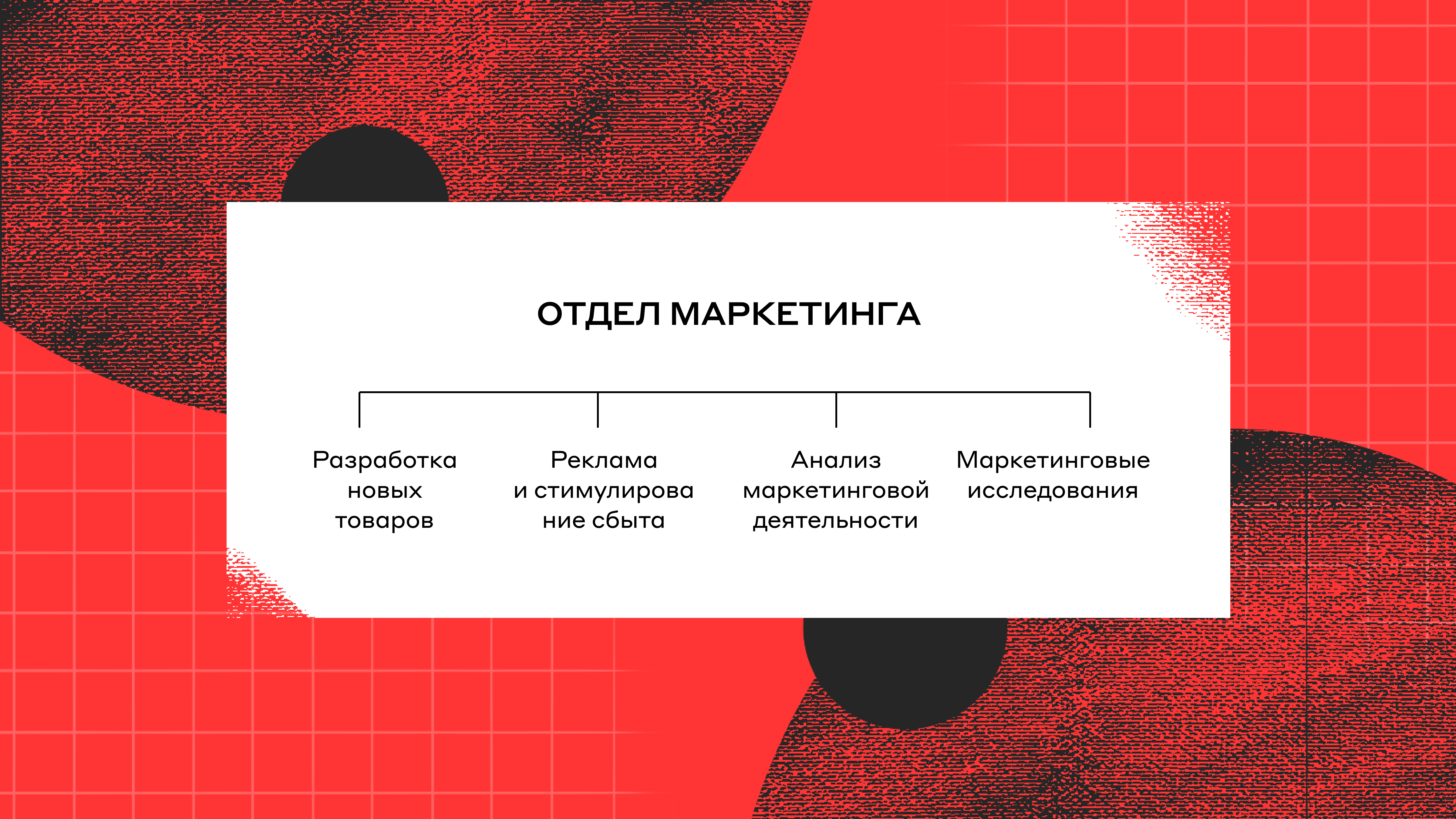 Построение отдела маркетинга с нуля для достижения высоких целей компании