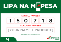 Net Pro Systems Lipa Na MPESA Paybill Banner
