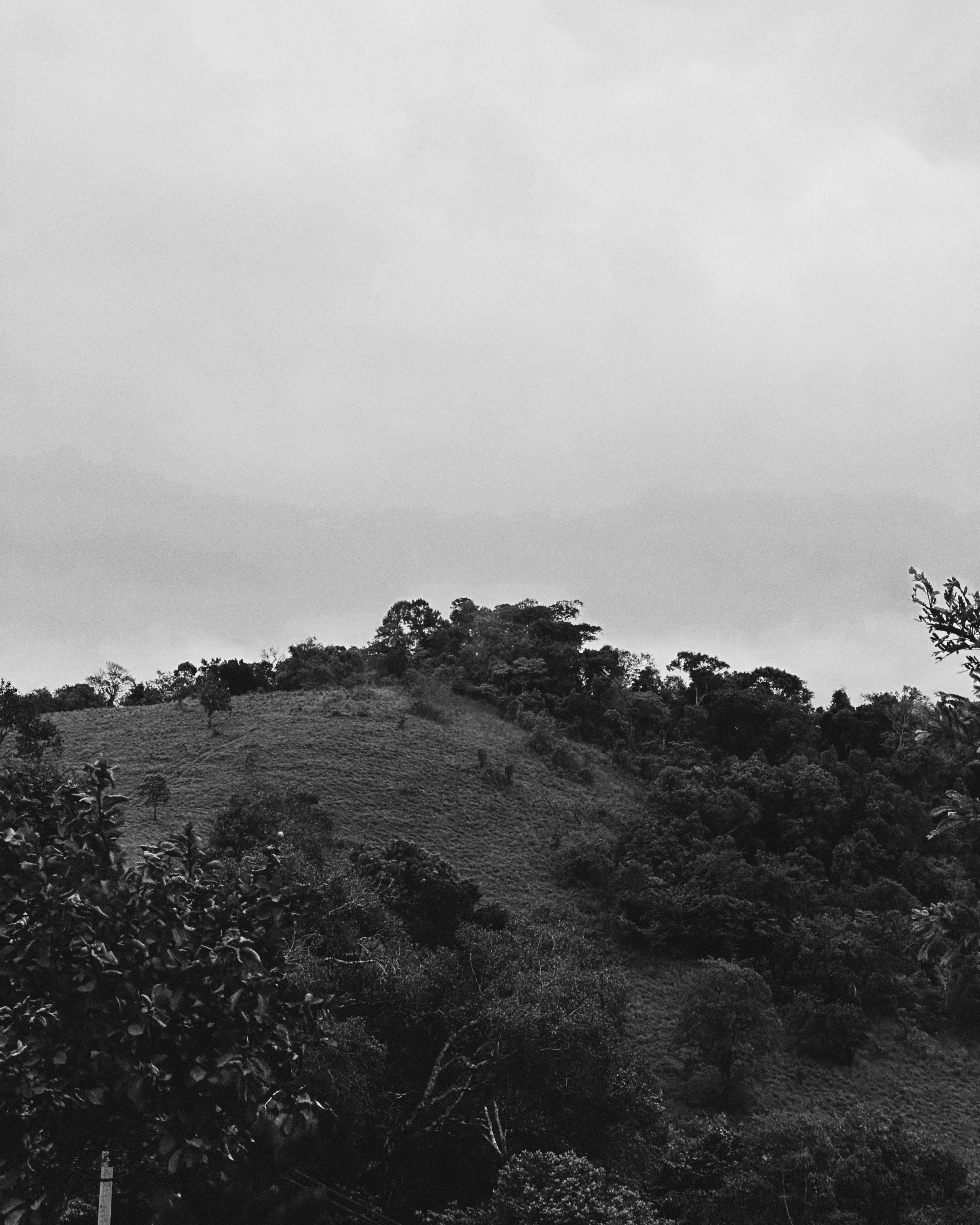 The High Slope