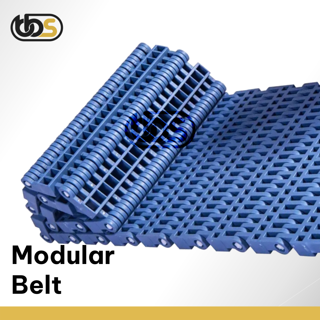 Modular Belt