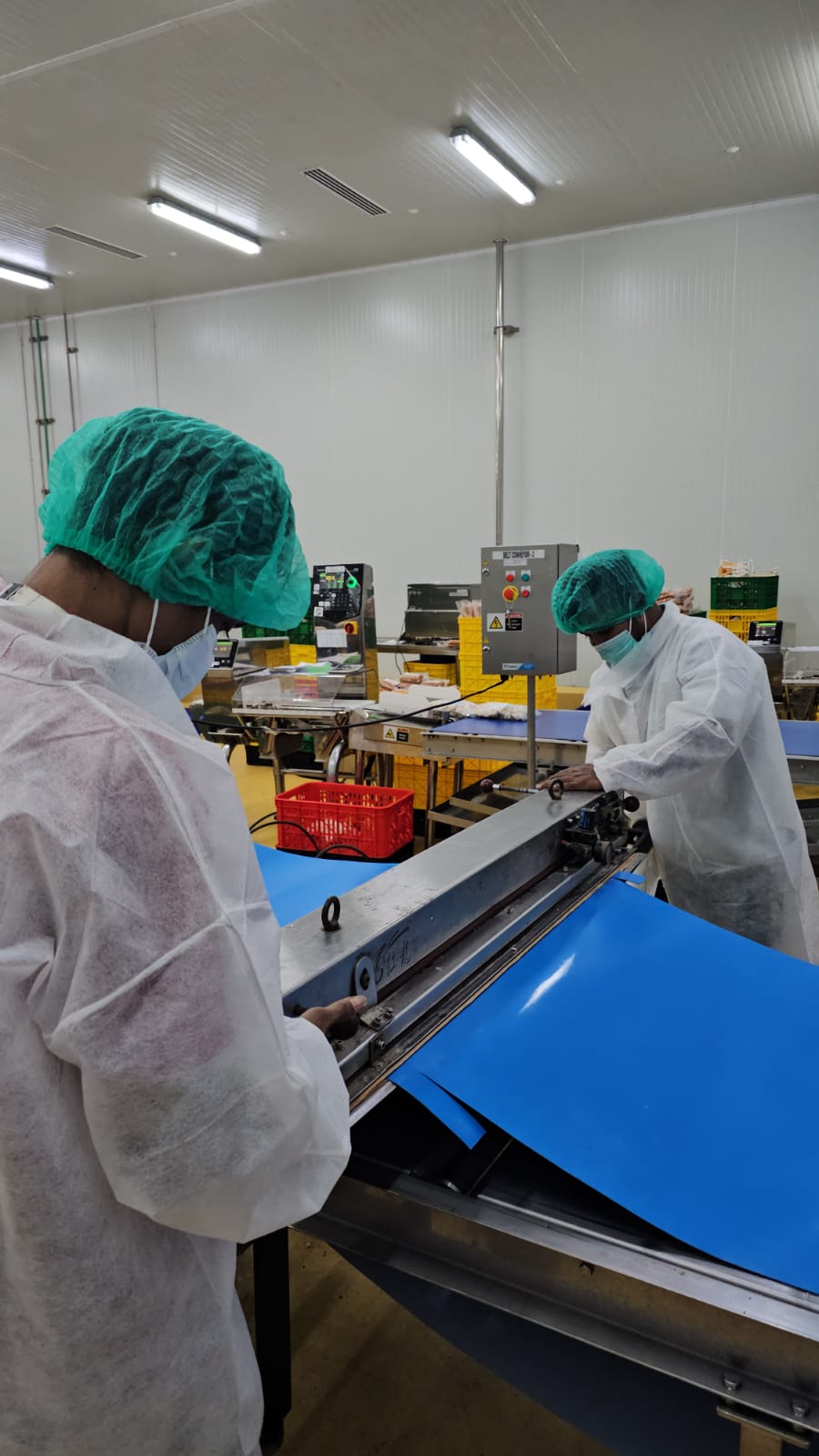 Site Joint Belt Conveyor Food Grade Biru — Pabrik Sosis, Cikarang