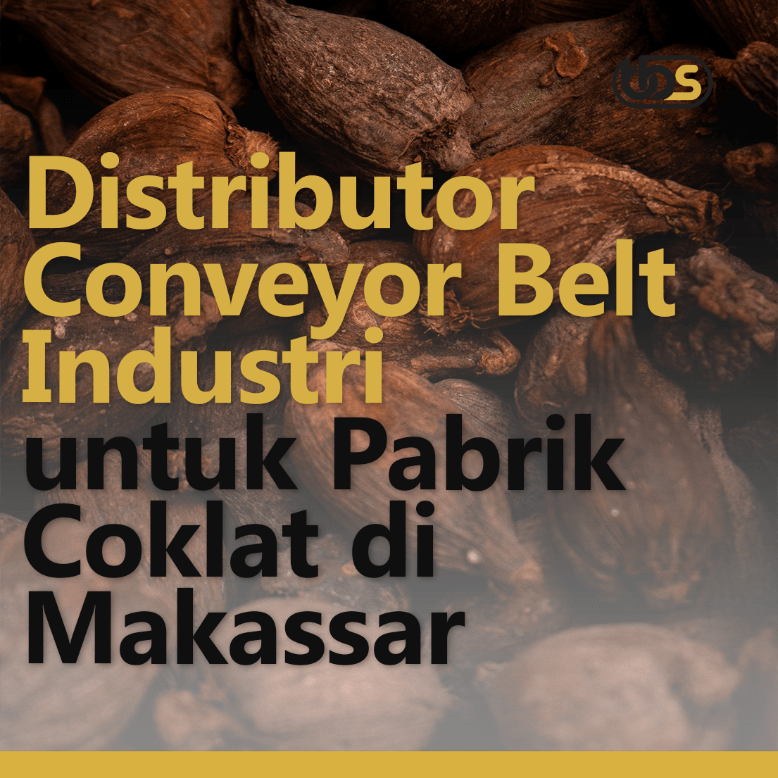 Distributor Conveyor Belt Industri untuk Pabrik Coklat di Makassar