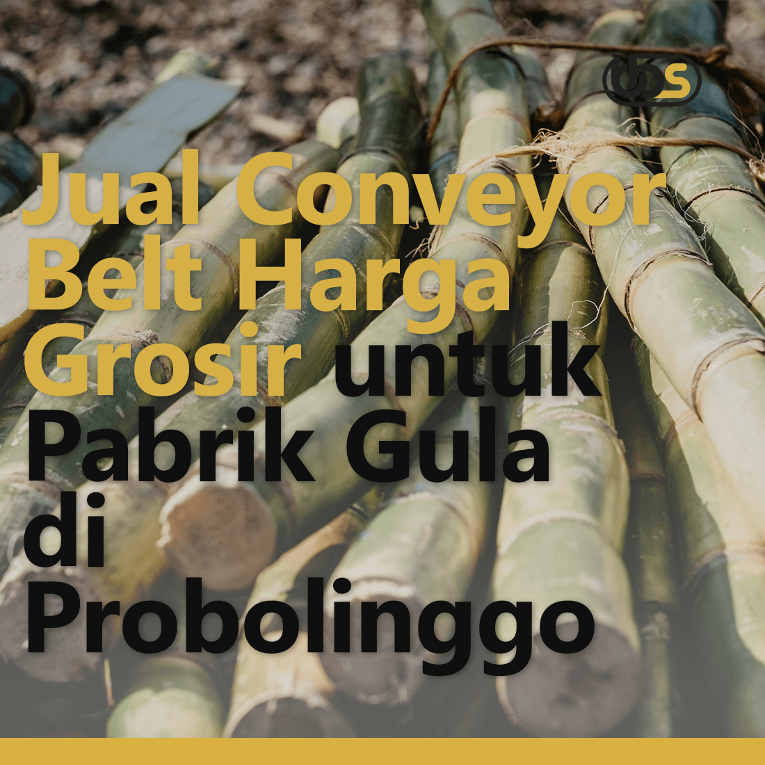 Jual Conveyor Belt Harga Grosir untuk Pabrik Gula di Probolinggo