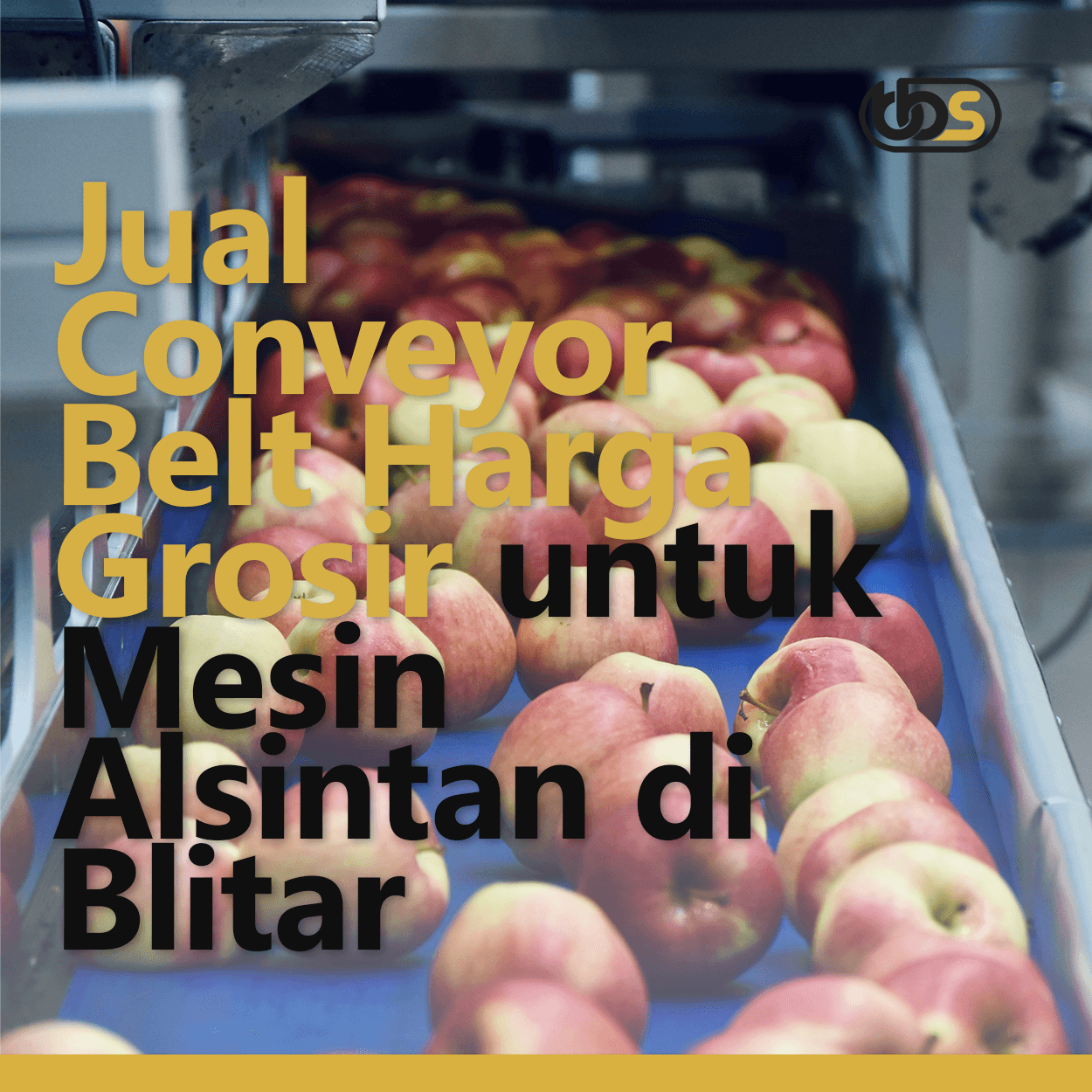 Jual Conveyor Belt Harga Grosir untuk Mesin Alsintan di Blitar