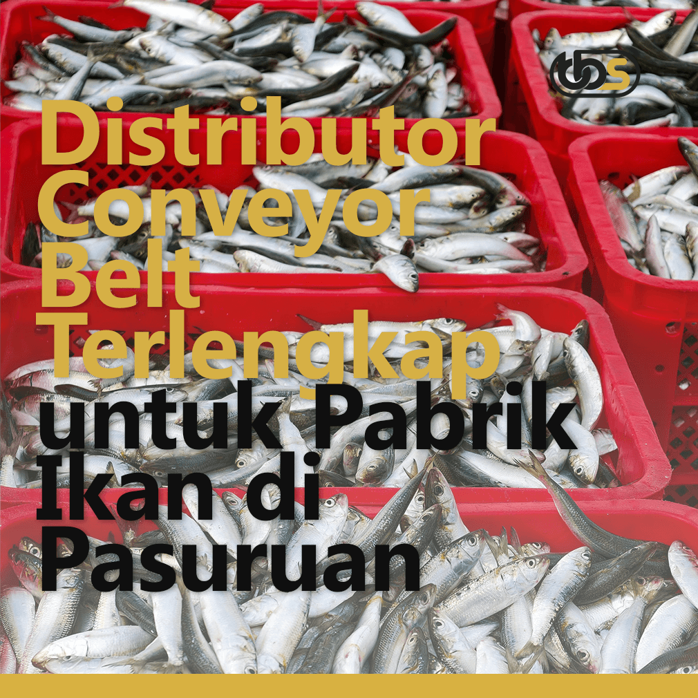Distributor Conveyor Belt Terlengkap untuk Pabrik Ikan di Pasuruan
