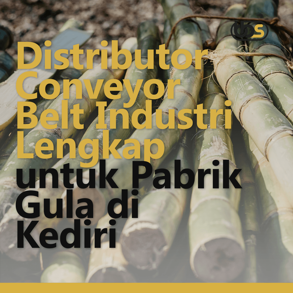 Distributor Conveyor Belt Industri Lengkap untuk Pabrik Gula di Kediri