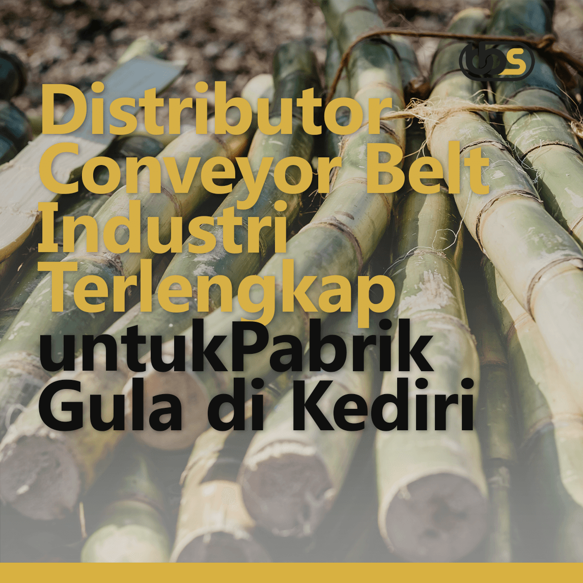 Distributor Conveyor Belt Industri Terlengkap untuk Pabrik Gula di Kediri