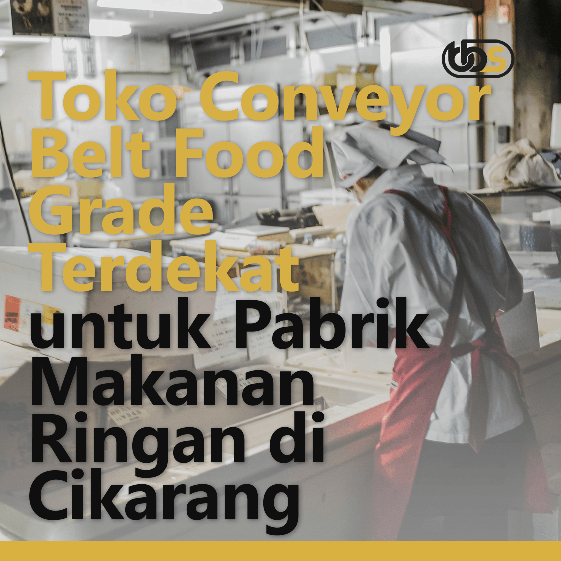 Toko Conveyor Belt Food Grade Terdekat untuk Pabrik Makanan Ringan di Cikarang