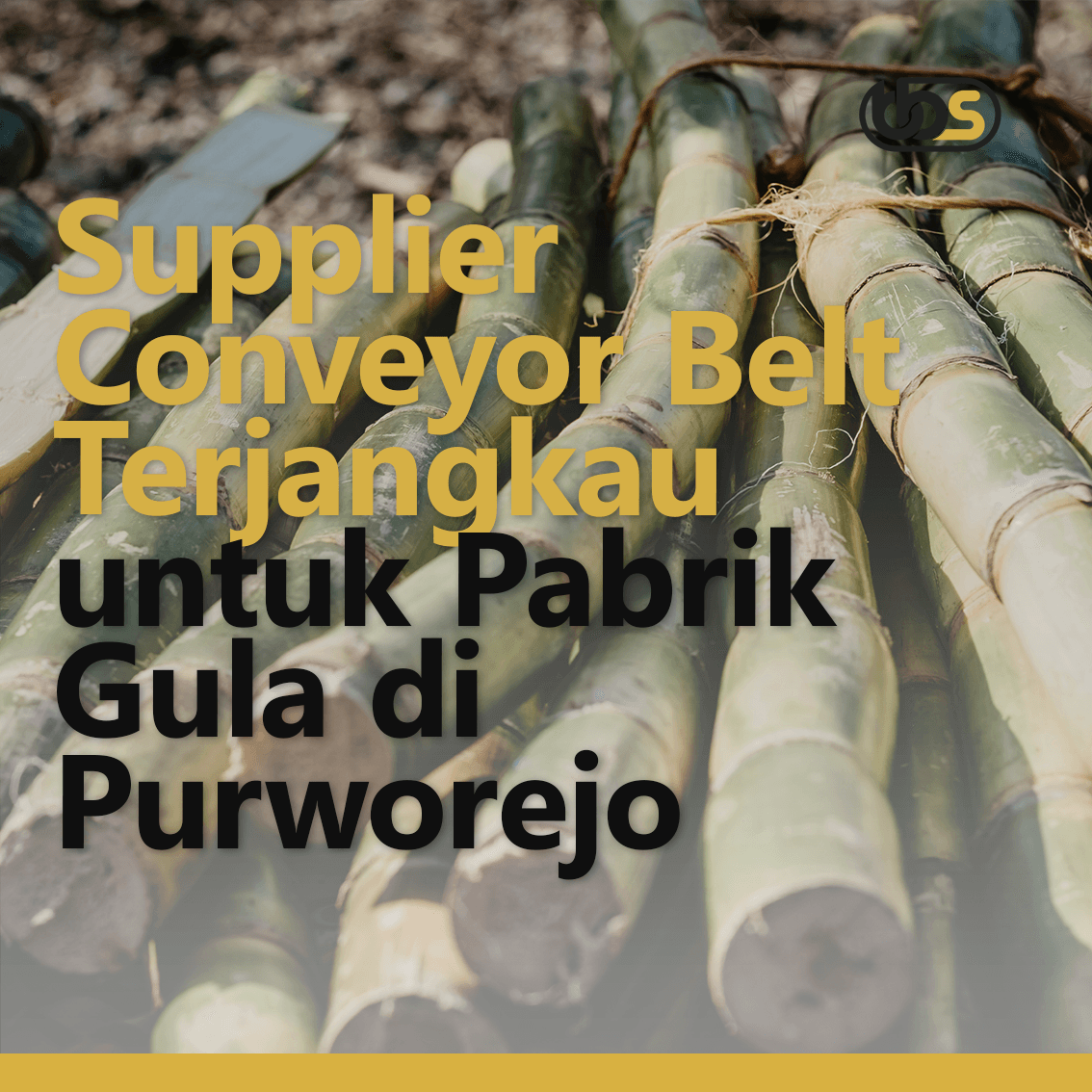 Supplier Conveyor Belt Terjangkau untuk Pabrik Gula di Purworejo