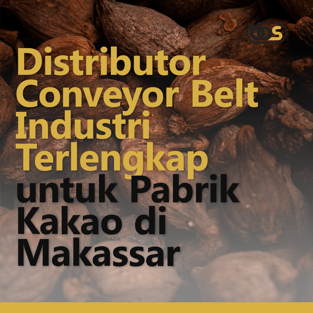 Distributor Conveyor Belt Industri Terlengkap untuk Pabrik Kakao di Makassar