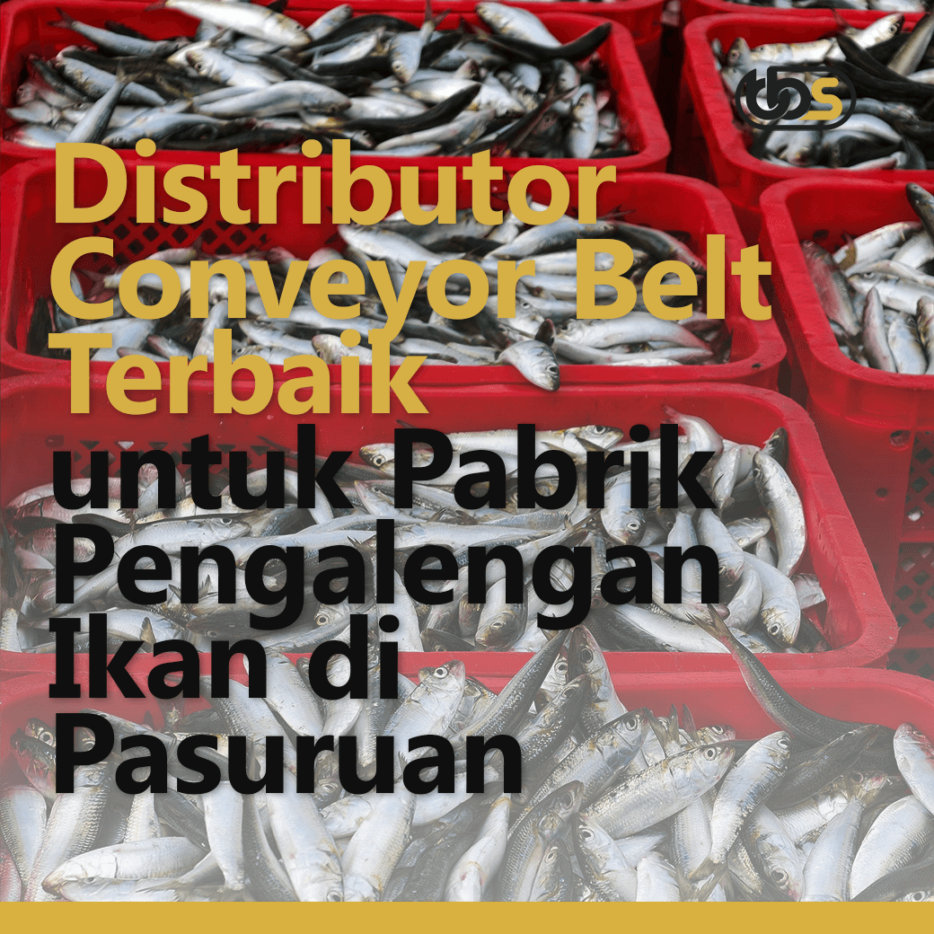 Distributor Conveyor Belt Terbaik untuk Pabrik Pengalengan Ikan di Pasuruan