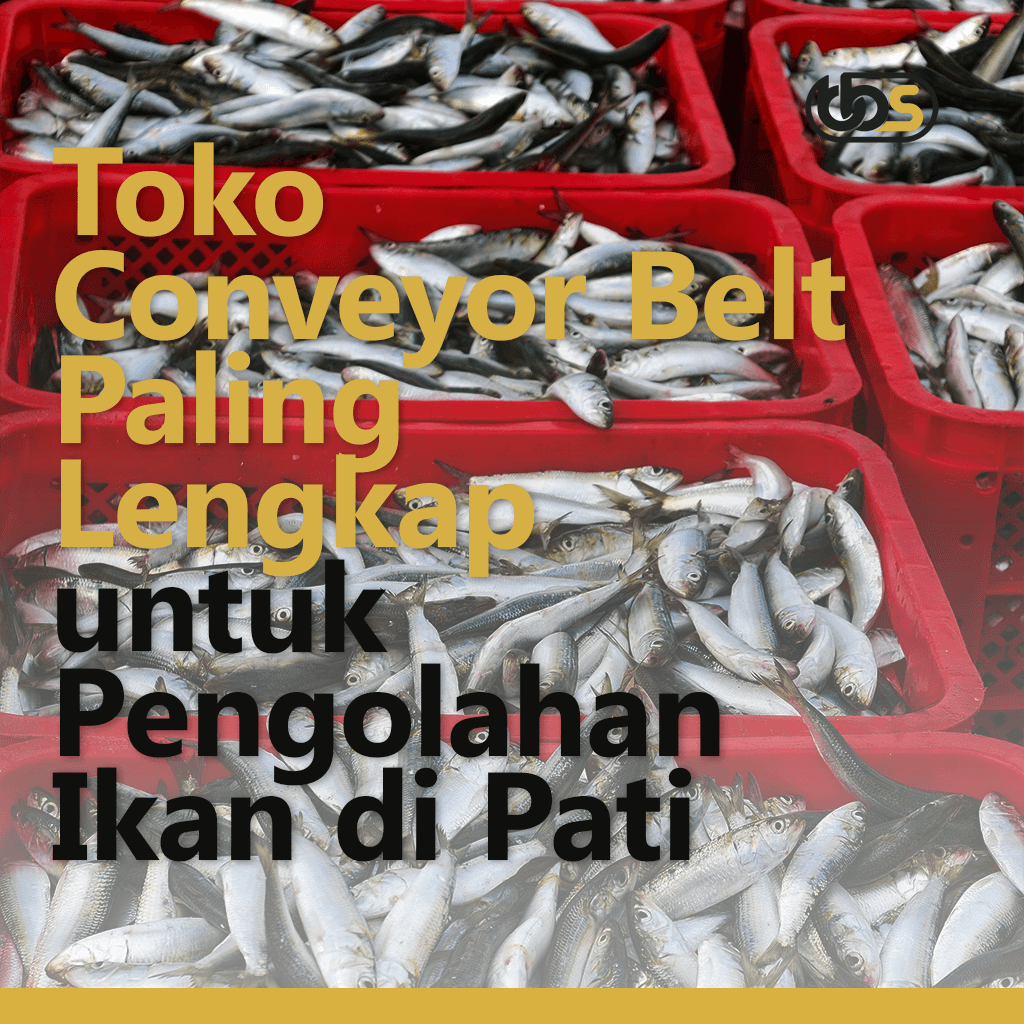 Toko Conveyor Belt Paling Lengkap untuk Pengolahan Ikan di Pati
