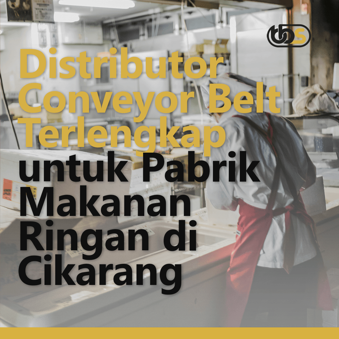 Distributor Conveyor Belt Terlengkap untuk Pabrik Makanan Ringan di Cikarang