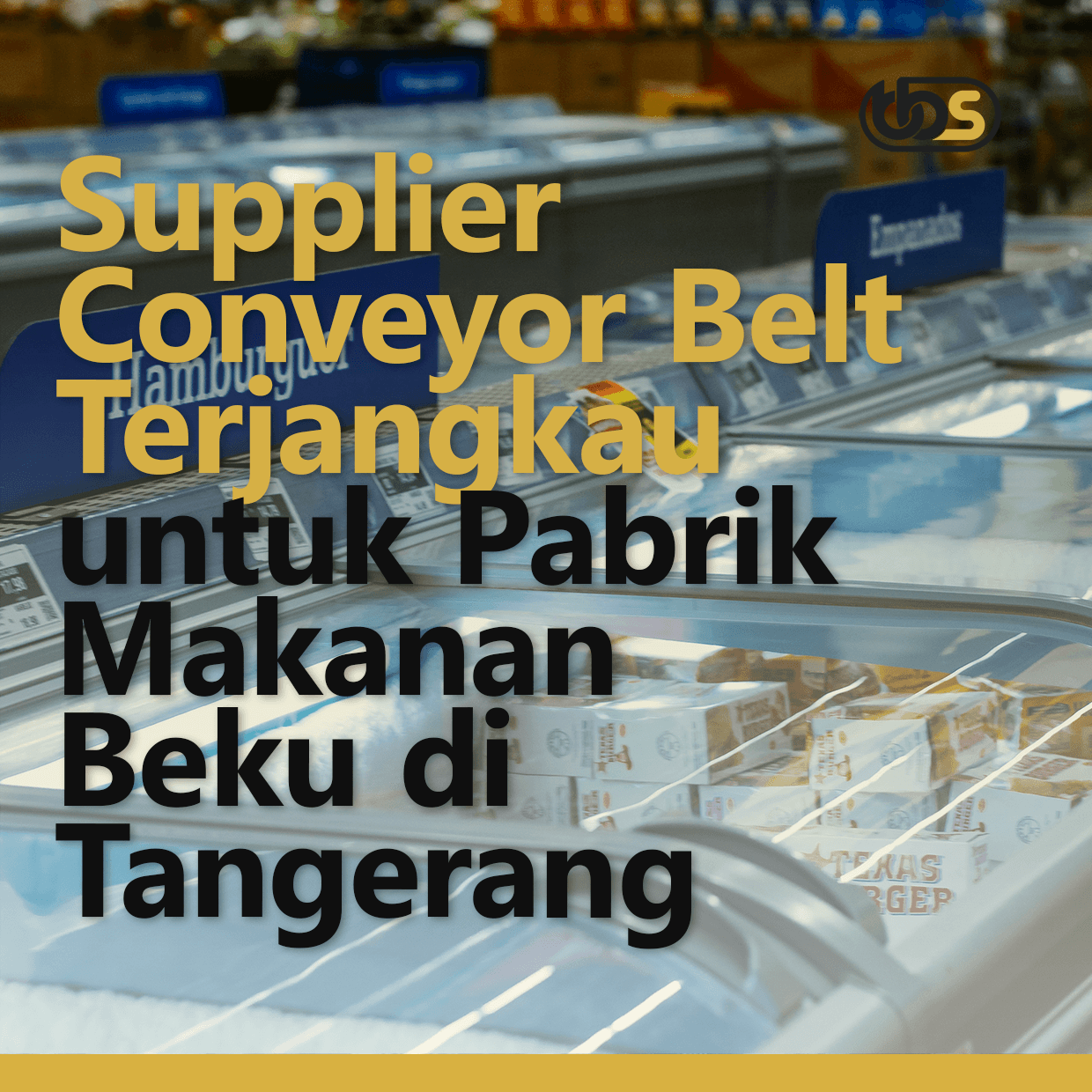 Supplier Conveyor Belt  Terjangkau untuk Pabrik Makanan Beku di Tangerang