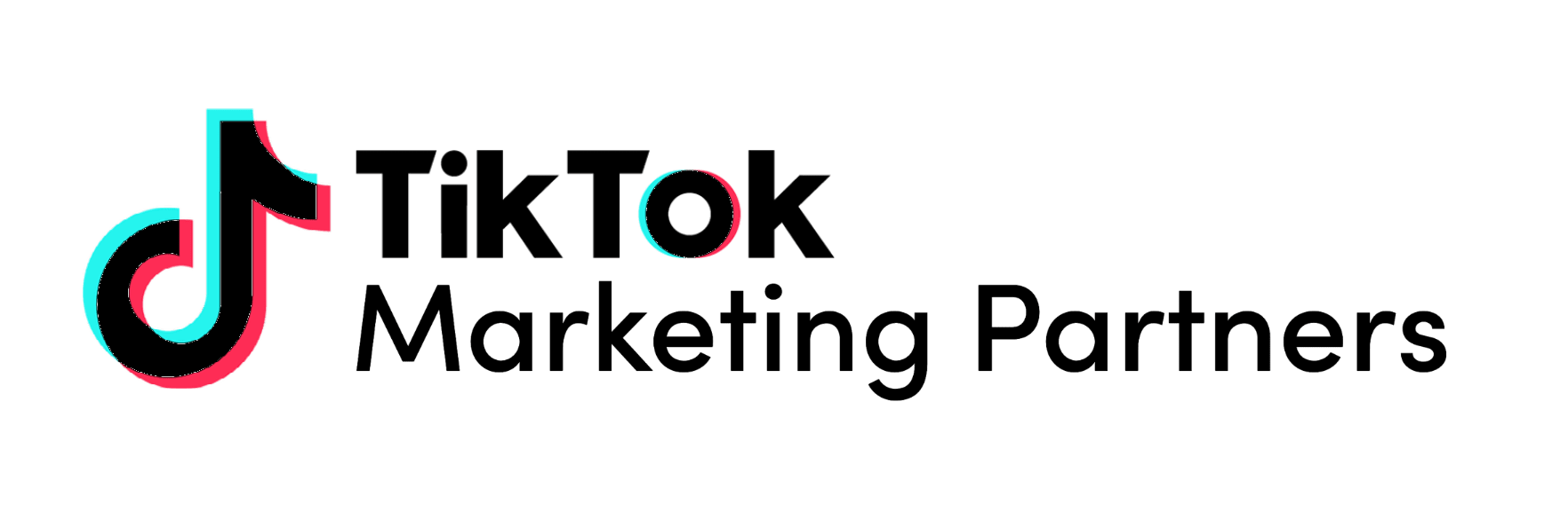TikTok Marketing Partner