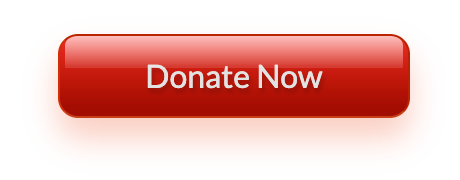 Donate Now with PayPal