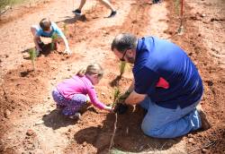 John DeKemper, assistant director at Cornelius Parks, Arts, Recreation and Culture (PARC), working with kids to plant saplings at an Earth Day event. Photo courtesy of Karen Ulmer.