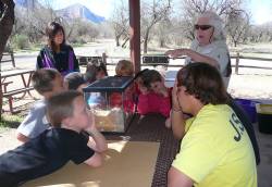 Lynanne Dellerman-Silverthorn (back left), recreation and cultural services manager for Town of Oro Valley, overseeing nature camp activities. Photo courtesy of Nancy Ellis.