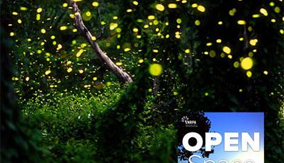 Fireflies April Bonus Episode 410