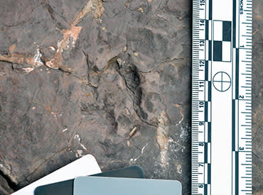 0226 park bench 370x275