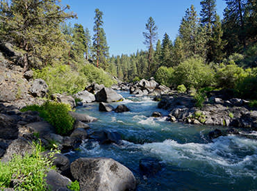 0226 we are parks recreation stewardship in action 370x275