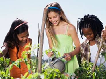 Growing an Edible Park 410