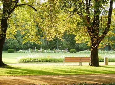 May Park Bench Blog