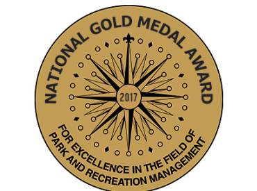 gold medal award logo