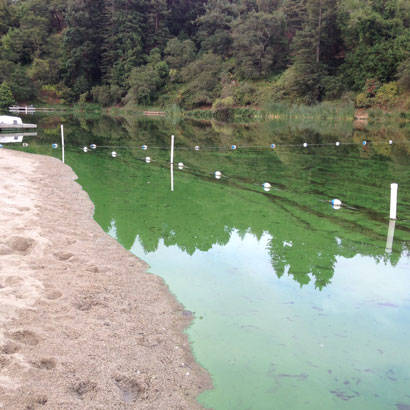 2017 July Operations Blue Green Algae and Recreational Waters 410