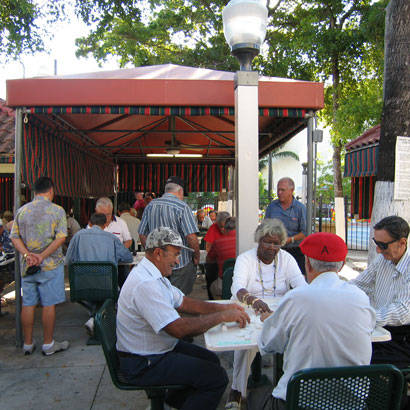 2017 March Social Equity Currie Domino Park 410