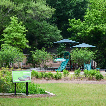 A playground surrounded by bushes and trees.