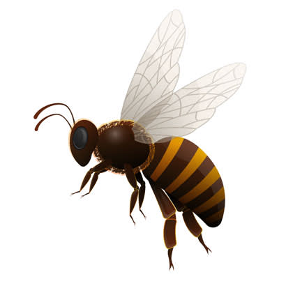 2018 June NRPA Update Parks for Pollinators 410