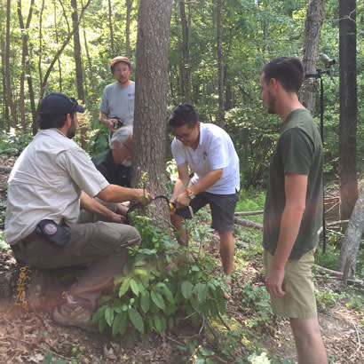 2018 May Conservation BatsofMecklenburgCo 410