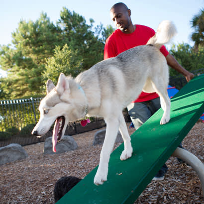 2018 November Member to Member Dog Parks 410